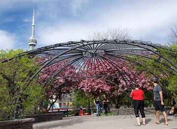canada/toronto/kensington-market/attraction/toronto-music-garden