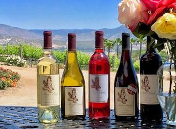 california/coronado/attraction/hungry-hawk-vineyards-winery