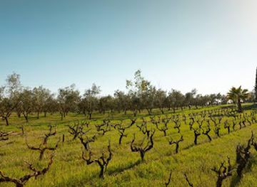 spain/mallorca/attraction/la-organic-experience-mallorca