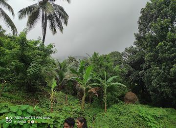india/goa/attraction/kuske-waterfall