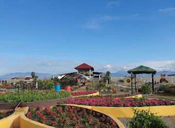 philippines/central-luzon/attraction/tayug-sunflower-eco-park