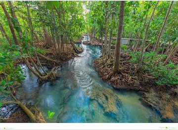 thailand/krabi/attraction/thapom-klong-song-nam