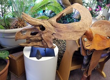 arizona/white-mountains/attraction/white-mountain-dinosaur-exploration-center