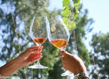 israel/safed/attraction/bazelet-hagolan-winery