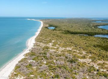 florida/captiva-island/attraction/new-wave-eco-charters-llc