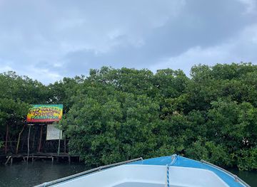 belize/san-pedro/attraction/iguana-reserve