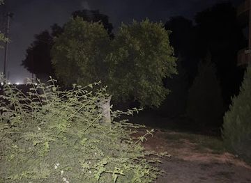 egypt/minya/attraction/mzr-almdh-ahmd-tlbh