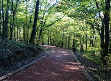 turkiye/istanbul/attraction/belgrade-forest