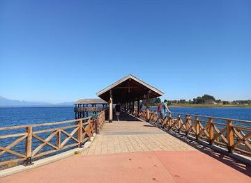 chile/puerto-varas/attraction/playa-los-cisnes