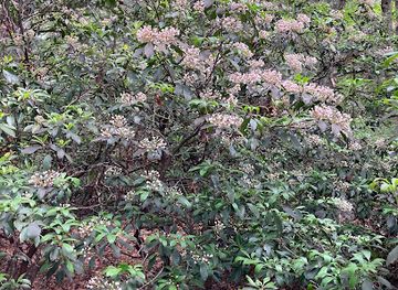 rhode-island/arcadia-management-area/attraction/alewife-brook-preserve