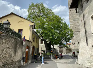 Tiglio di Sant'Orso