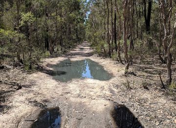 australia/sydney-basin/attraction/agnes-banks-nature-reserve