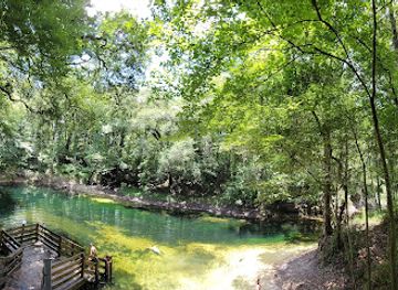 florida/suwannee-river/attraction/falmouth-springs