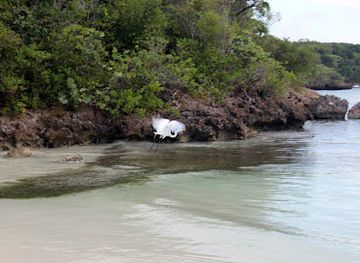 puerto-rico/vieques/attraction/la-prisca-vieques-pr