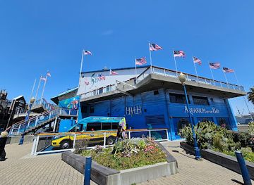 california/san-francisco/attraction/aquarium-of-the-bay