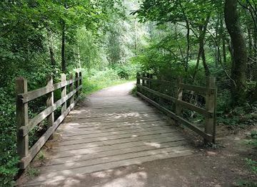 united-kingdom/devon/attraction/ashdown-forest