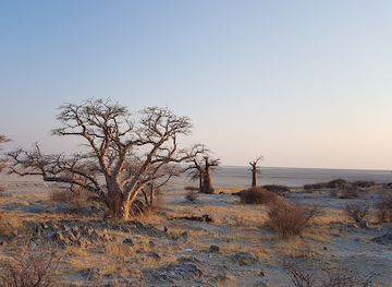 botswana/makgadikgadi-pans/attraction/kubu-island