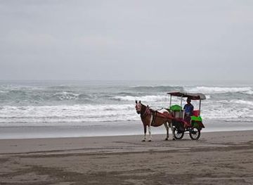 indonesia/yogyakarta/attraction/parangtritis-beach