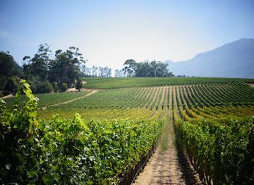 south-africa/cape-winelands/attraction/glenelly-estate