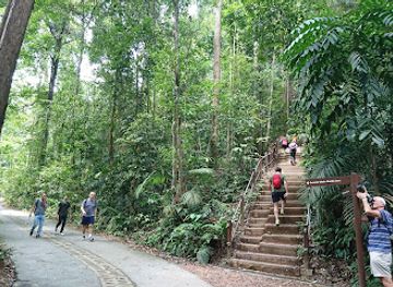 singapore/bukit-timah/attraction/bukit-timah-nature-reserve-visitor-centre