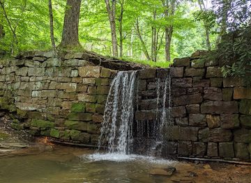 pennsylvania/allegheny-national-forest/attraction/henry-run-sawmill-dam