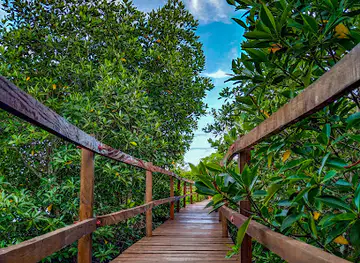 Paraiso Mangrove Eco Learning Park Marine and Wild Sanctuary