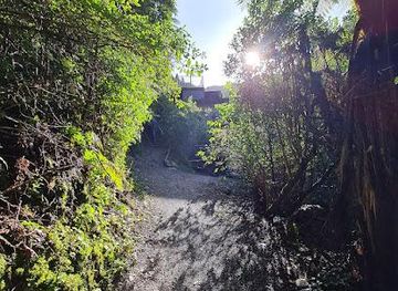 new-zealand/wellington/attraction/akatarawa-forest