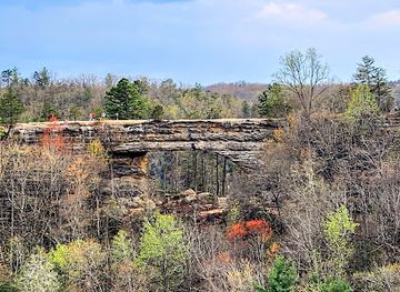 kentucky/red-river-gorge-geological-area/attraction/devil-s-gulch