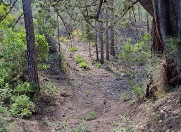 cyprus/kykkos-monastery/attraction/moutth-twn-anemwn