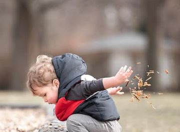 new-york/buffalo/attraction/jaycee-gardens-park