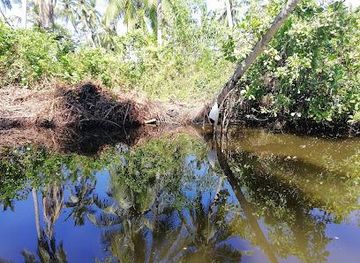 sri-lanka/colombo/attraction/muthurajawela-visitor-centre