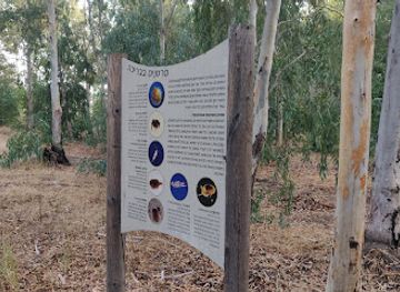 israel/netanya/attraction/gesher-etz-yafifa