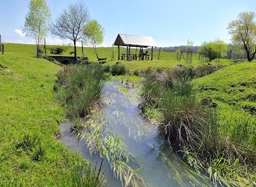 ukraine/pylypets/attraction/reindeer-farm