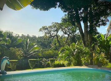 brazil/salvador/attraction/ayahuasca-retreat-brazil