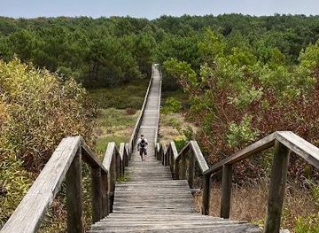 portugal/aveiro/attraction/reserva-natural-das-dunas-de-sao-jacinto