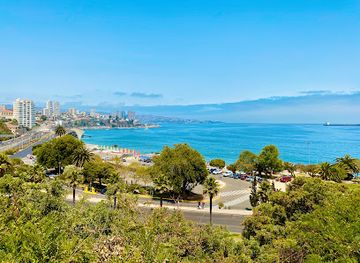 chile/vina-del-mar/renaca/attraction/flower-clock