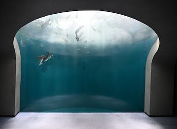 japan/shikoku/attraction/shikoku-aquarium