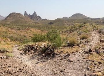 texas/big-bend-national-park/attraction/mule-ear-peaks