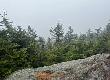 vermont/camel-s-hump-state-park/attraction/mount-ethan-allen-peak