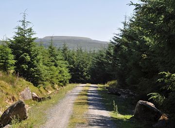 ireland/wicklow-mountains/attraction/carrigunneen