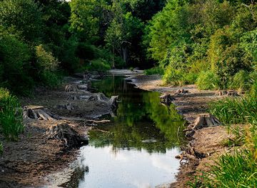 poland/warta-mouth-national-park/attraction/postomskie-mlyny-iii-mlyn