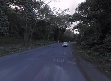 india/kaziranga-national-park/attraction/speed-laser