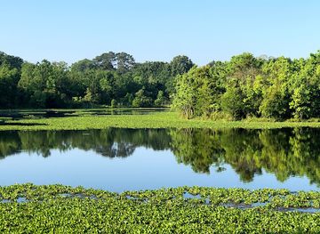 louisiana/central-louisiana/attraction/blackwater-conservation-area