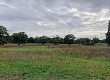 united-kingdom/norwich/attraction/catton-park