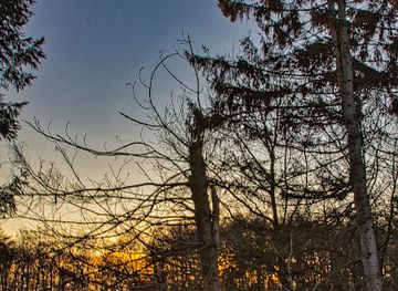 denmark/funen/attraction/naturkalv-borreby