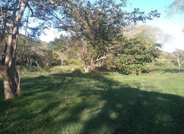 south-africa/wild-coast/attraction/empisini-nature-reserve