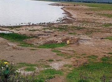 kenya/lake-bogoria/attraction/lake-solai-koibanan-island