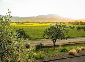 california/napa/attraction/miner-family-winery