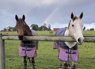 australia/northern-victoria/attraction/living-legends