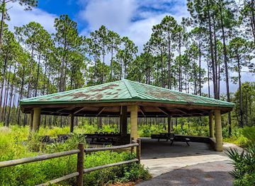 florida/panama-city-beach/attraction/conservation-park